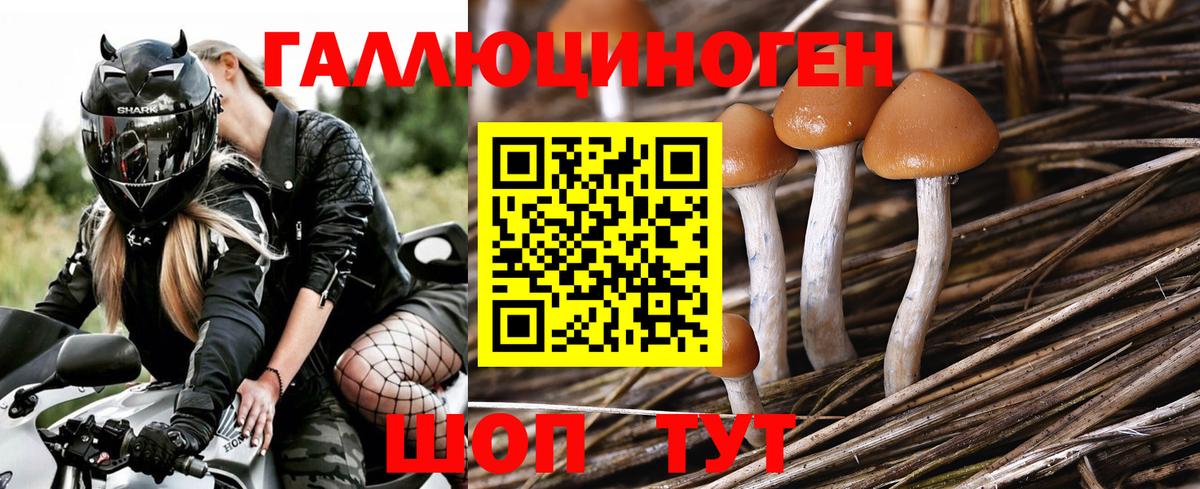 Псилоцибиновые грибы Magic Shrooms  Галлюциногенные грибы мухоморы  Белая Калитва  наркота  Вход с VPN 