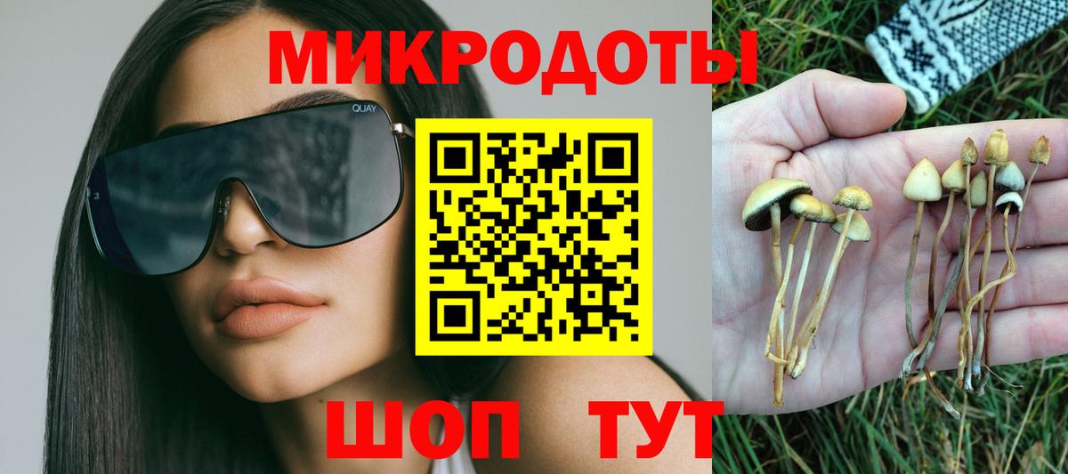 Псилоцибиновые грибы Psilocybine cubensis Белая Калитва